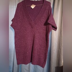 Very Nice Purple V-Neck Women's Sweater